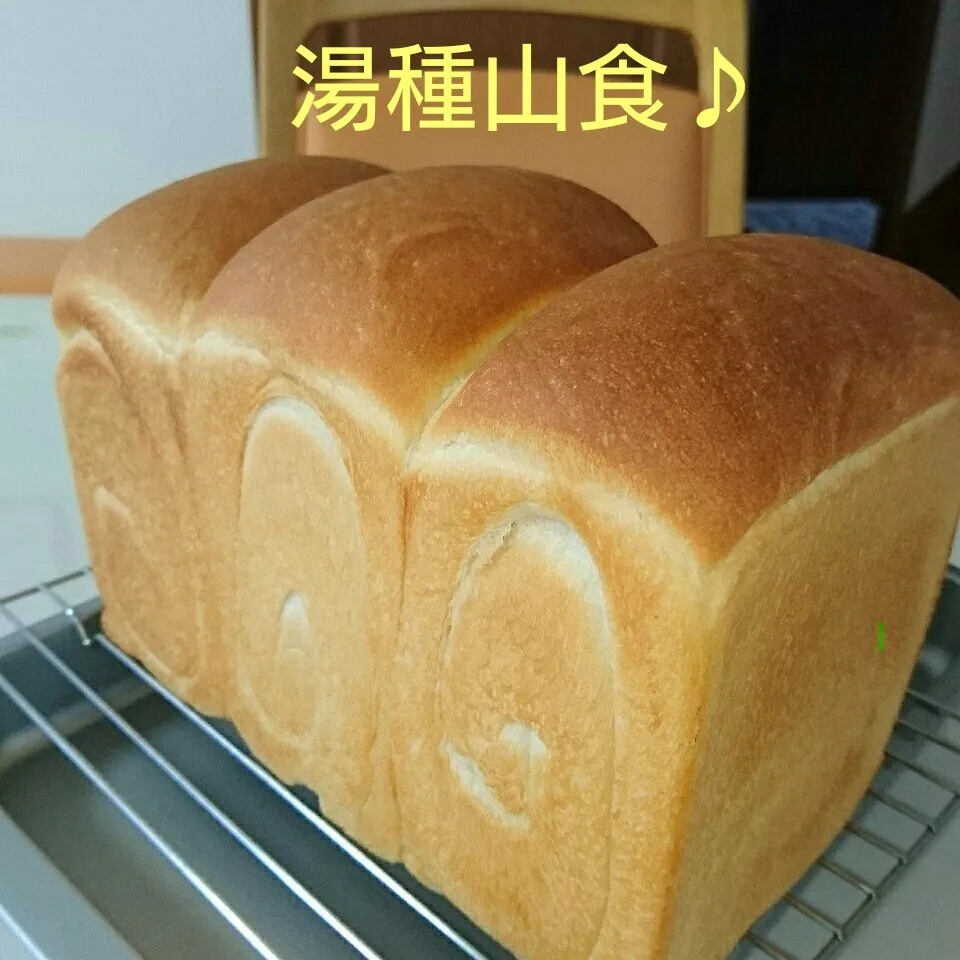 Snapdishの料理写真:湯種山食パン♪|oomugiさん