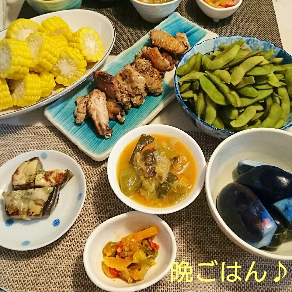 Snapdishの料理写真:今日の晩ごはん(手羽先の塩麹焼き鳥と…)|oomugiさん