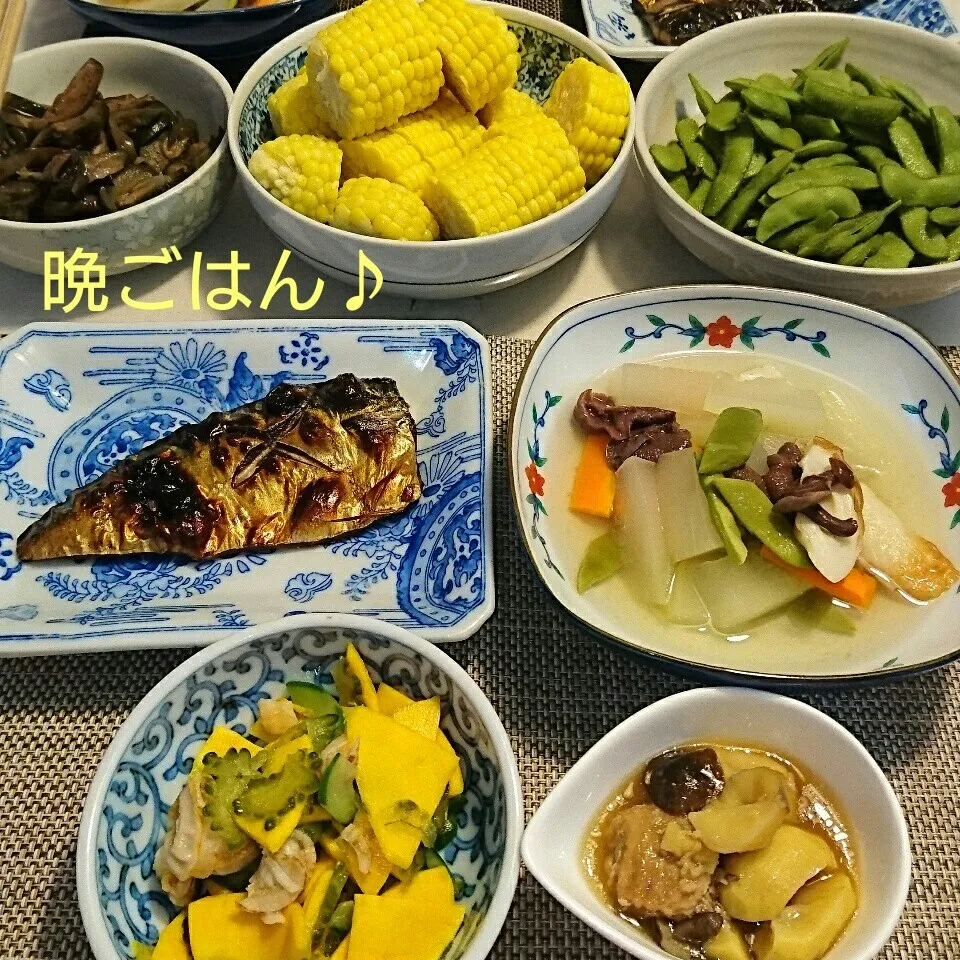 Snapdishの料理写真:今日の晩ごはん(塩鯖と…)|oomugiさん