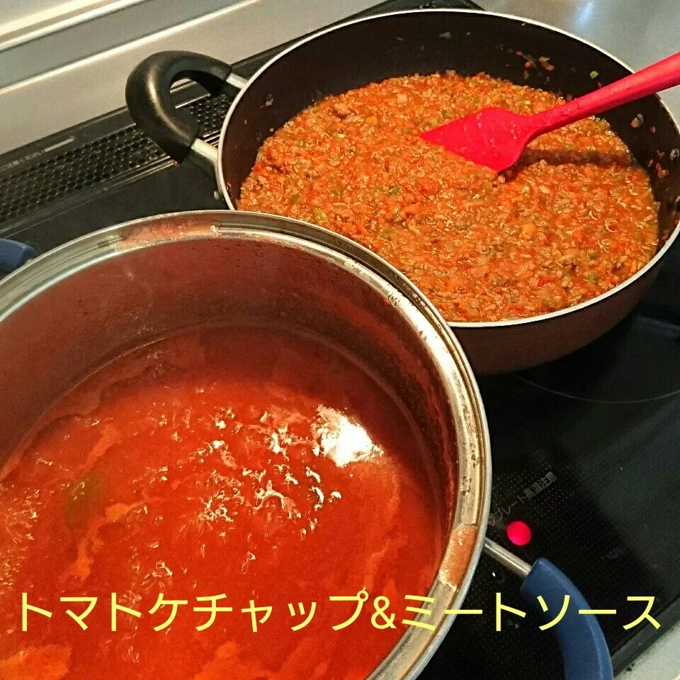 Snapdishの料理写真:トマトケチャップ&ミートソース♪|oomugiさん