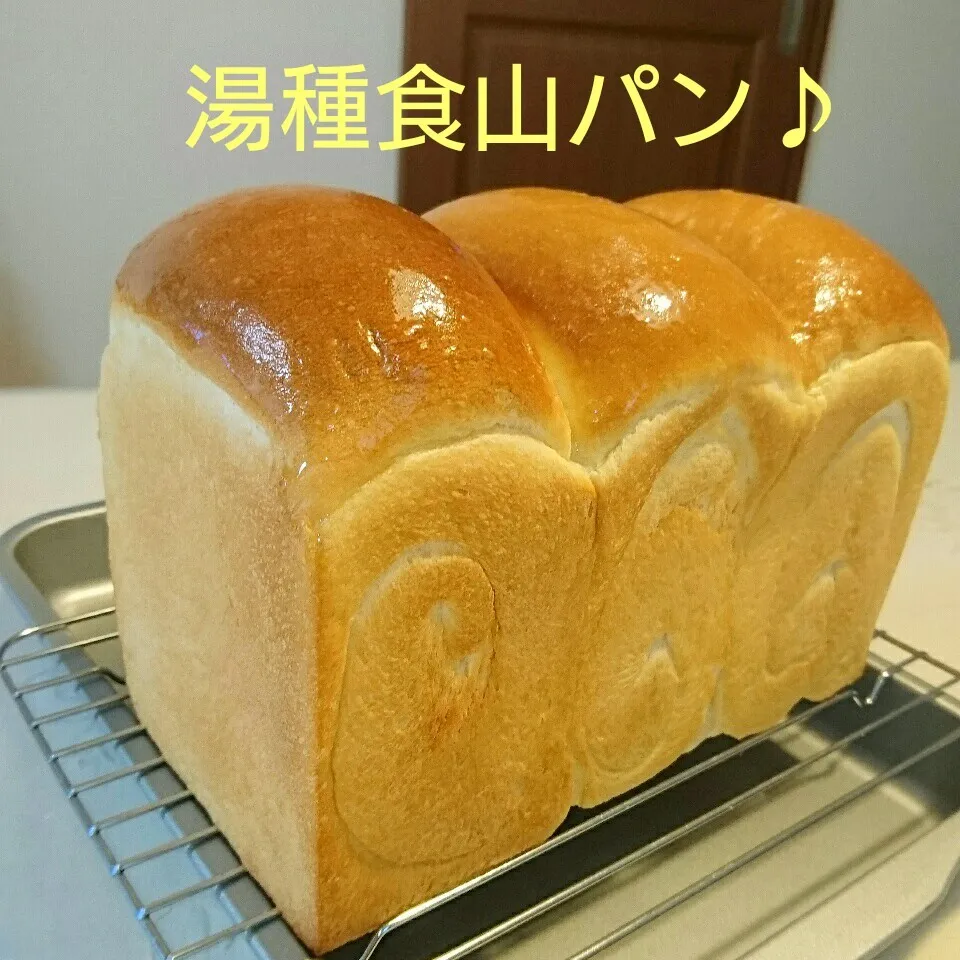 Snapdishの料理写真:湯種山食♪|oomugiさん