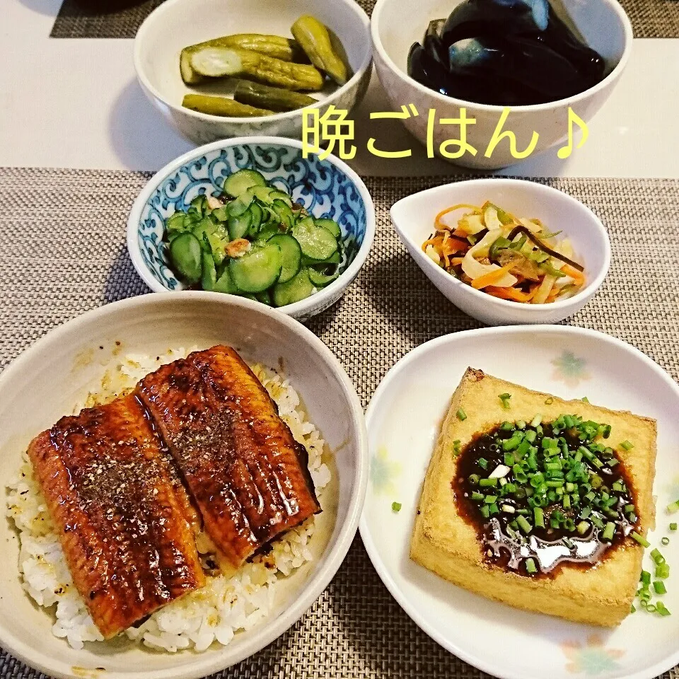 今日の晩ごはん(う…と)|oomugiさん