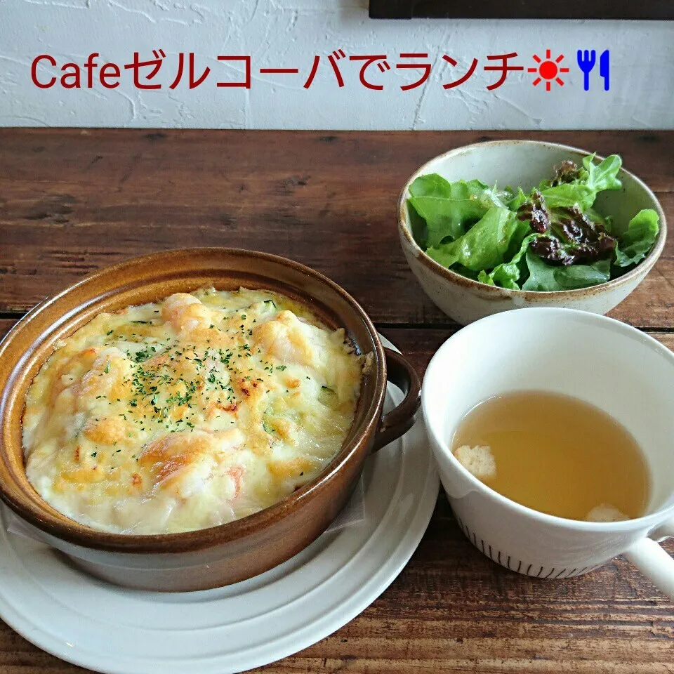 Cafe ゼルコーバでランチ☀🍴|oomugiさん