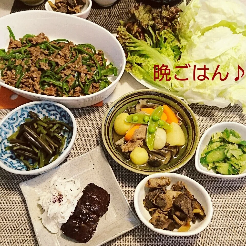 今日の晩ごはん(青椒肉絲と…)|oomugiさん