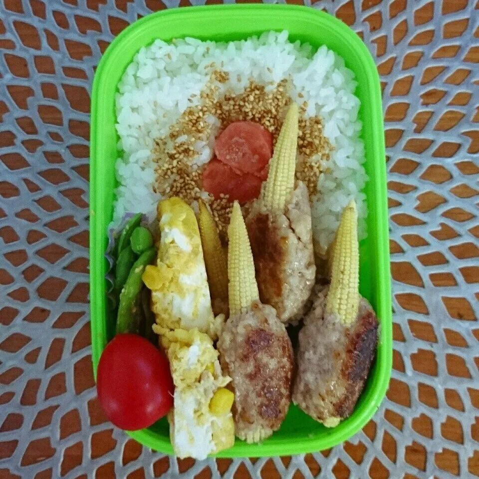 Snapdishの料理写真:☆中学男子弁当: 13Apr2017|momomotototokokokoさん