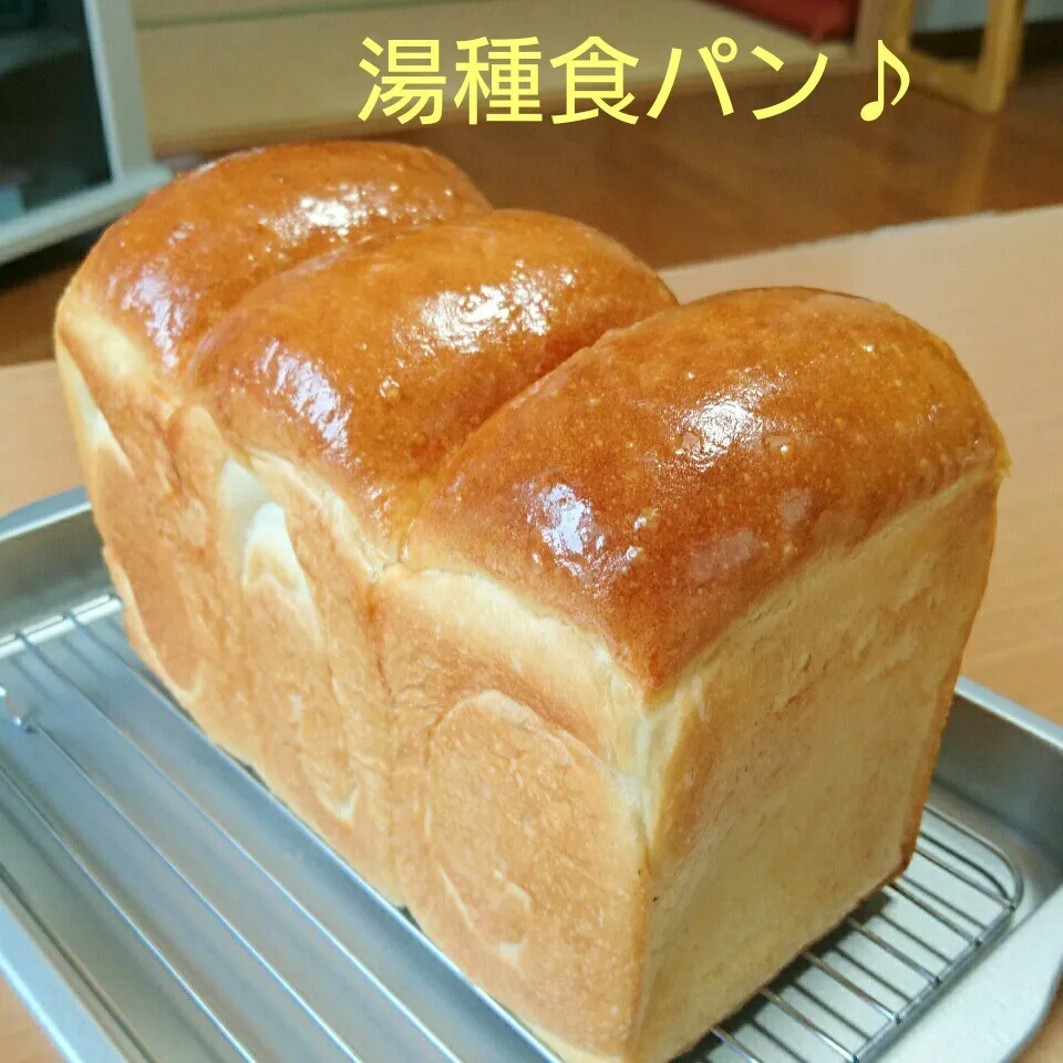 Snapdishの料理写真:ルナトトママさんの湯種食パン♪|oomugiさん