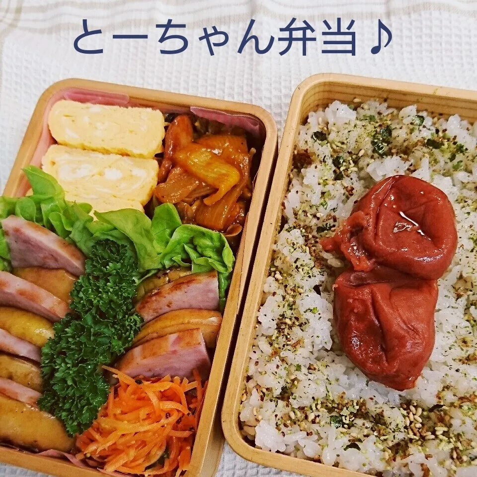 火曜日のとーちゃん弁当♪|oomugiさん