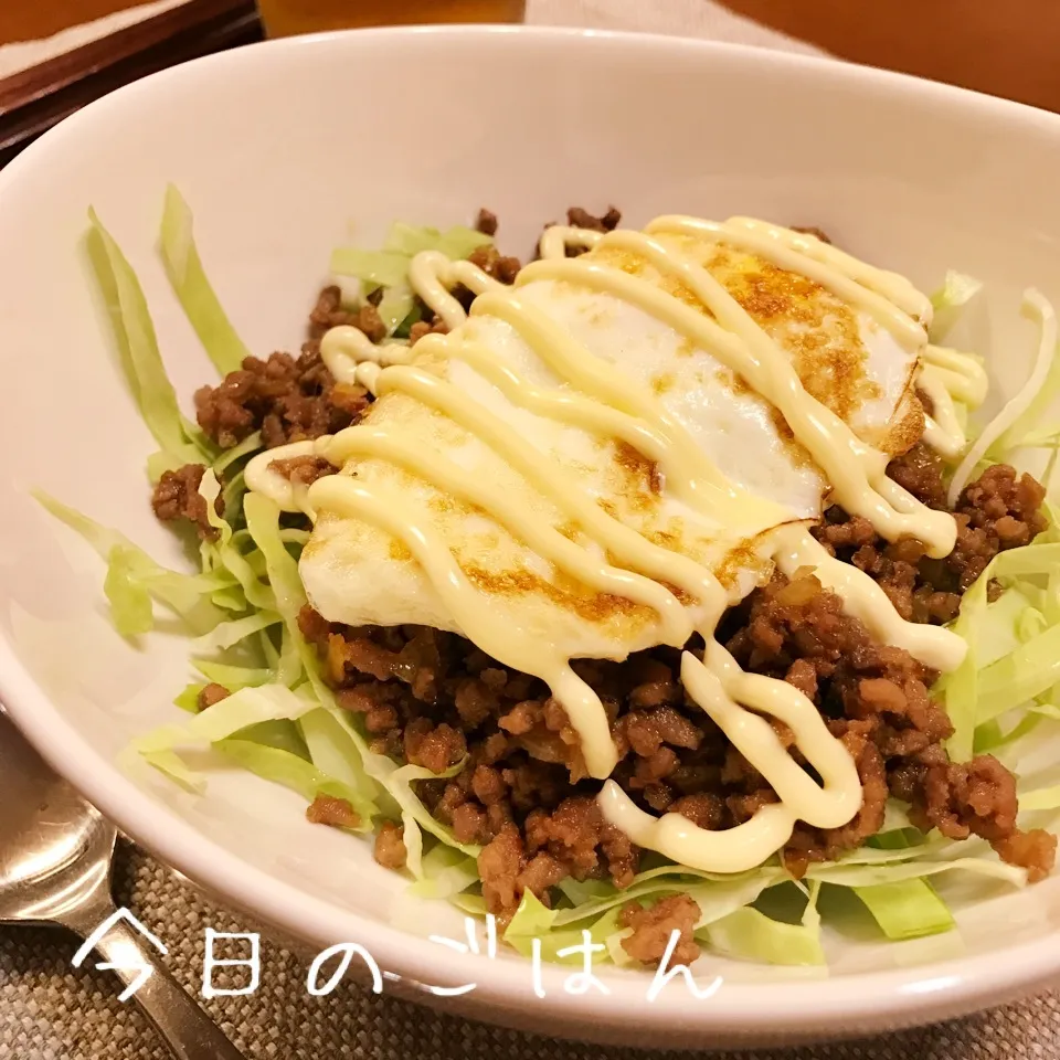 中毒性あり 大学の食堂で食べてたキャベツ丼！|さちさん