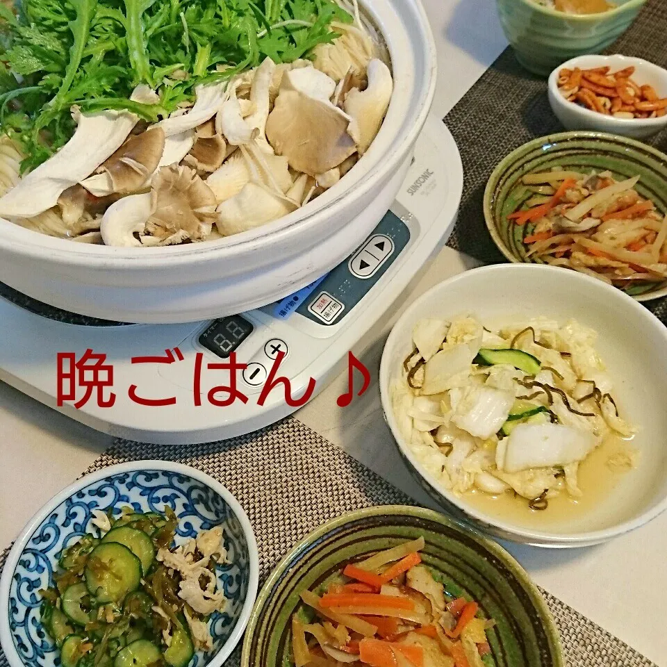 今日の晩ごはん(鶏と大根の鍋と…)|oomugiさん