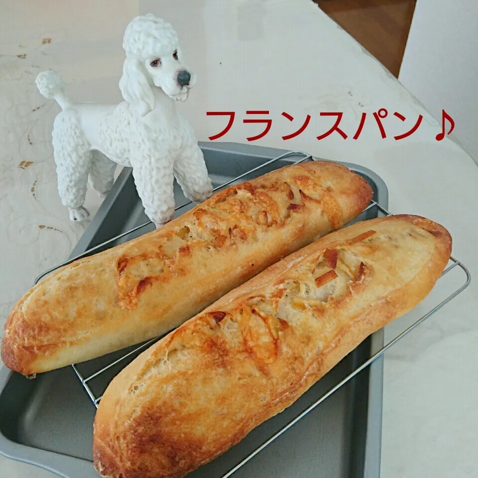 Snapdishの料理写真:酵母のフランスパン♪|oomugiさん