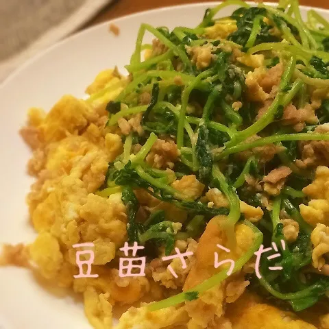 豆苗さらだ 玉子とツナ和え♪|さちさん