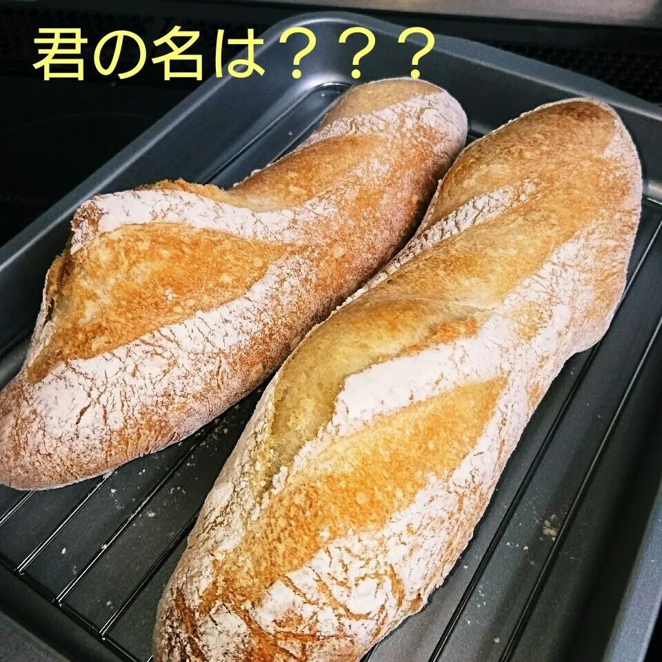 Snapdishの料理写真:バゲット焼いたはずですが？？？|oomugiさん