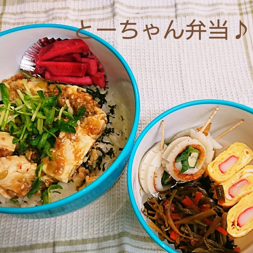 水曜日のとーちゃん弁当♪|oomugiさん