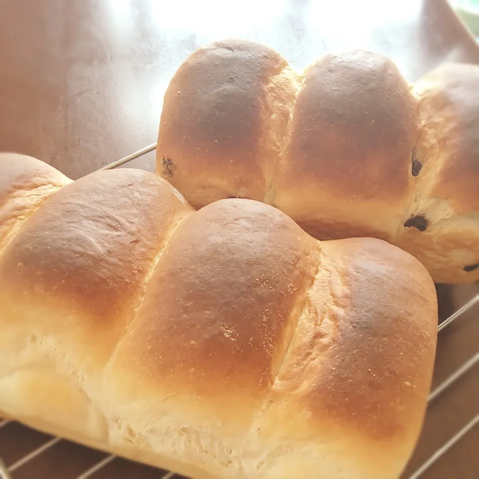 Snapdishの料理写真:初めての食パン( ´͈ ᗨ `͈ )◞♡⃛|だやんさん