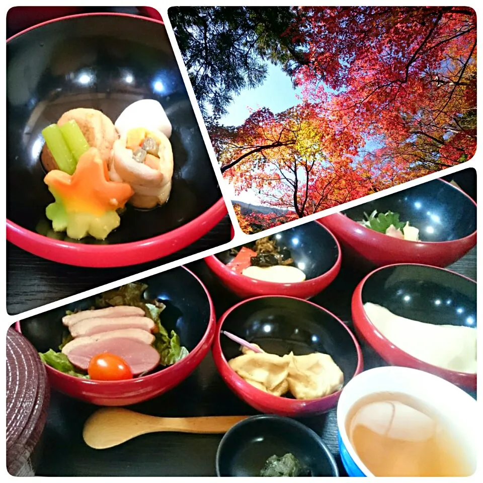 ☆今日のお昼ごはん☆  滋賀へ🍁もみじ狩り|hamamaさん