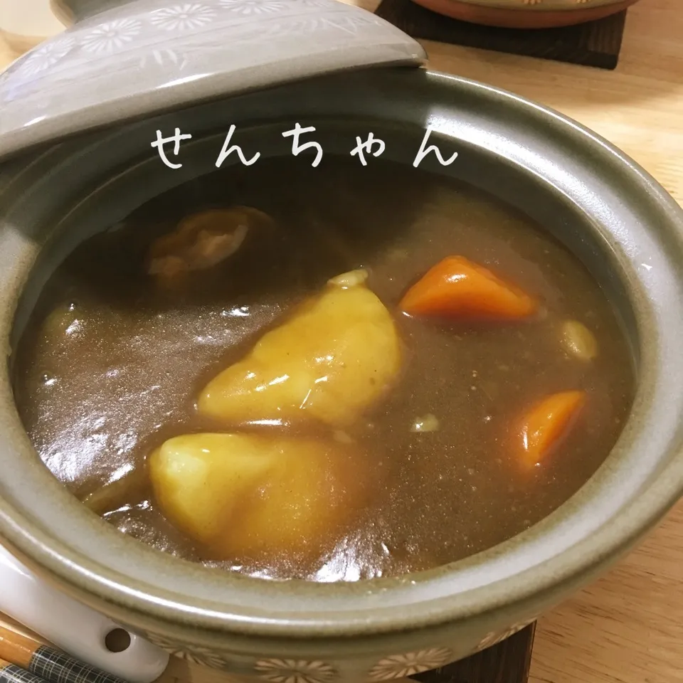 カレー南蛮 野菜ゴロゴロ❣️|せんちゃんさん