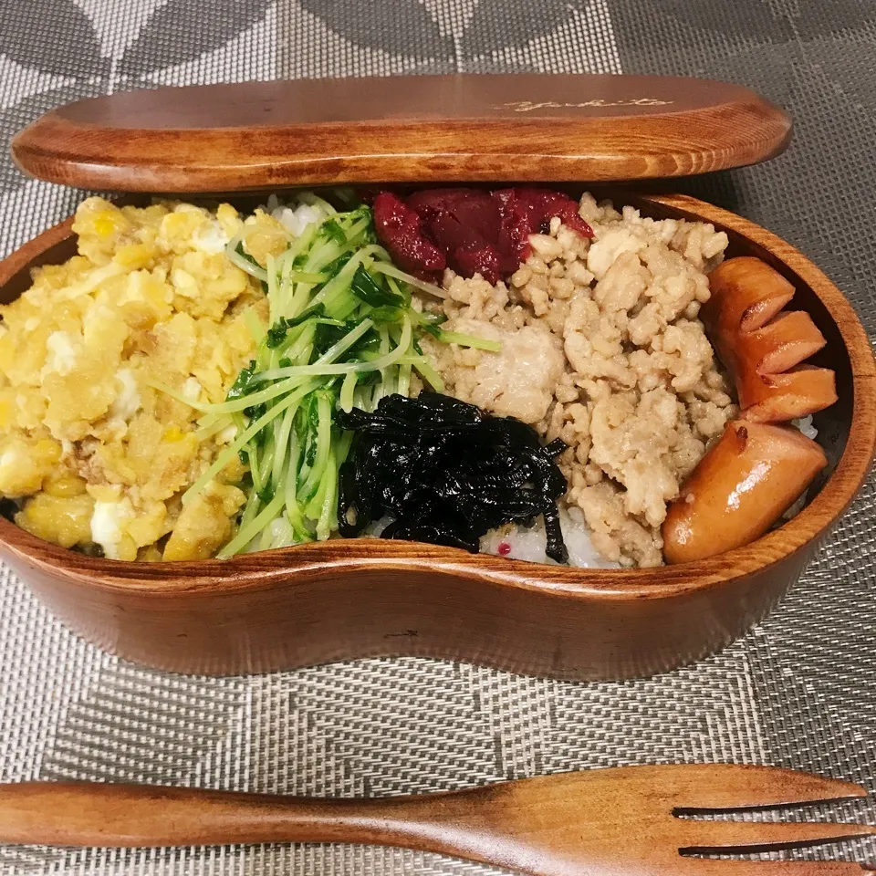 パパお弁当|みかんさん