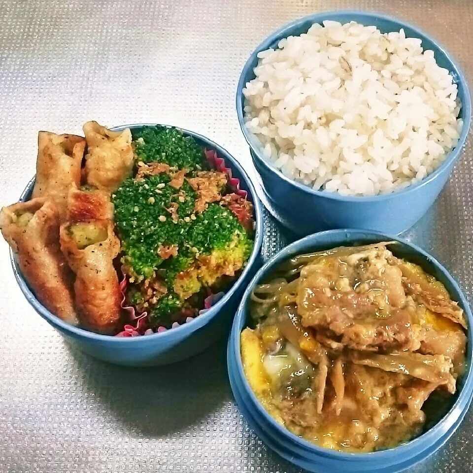 旦那さんお弁当|きぬよさん