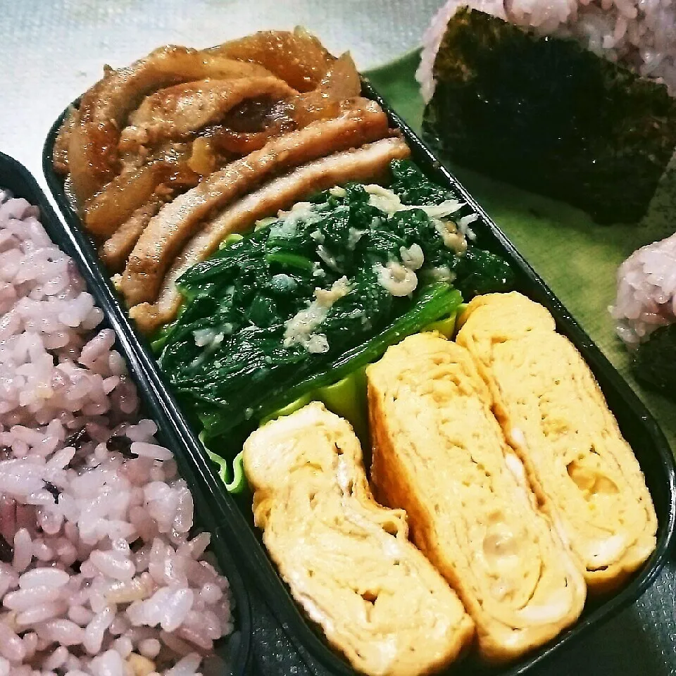 旦那さんお弁当|きぬよさん