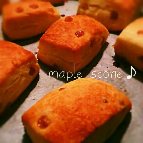 maple scone. イースト使用®|chiiさん