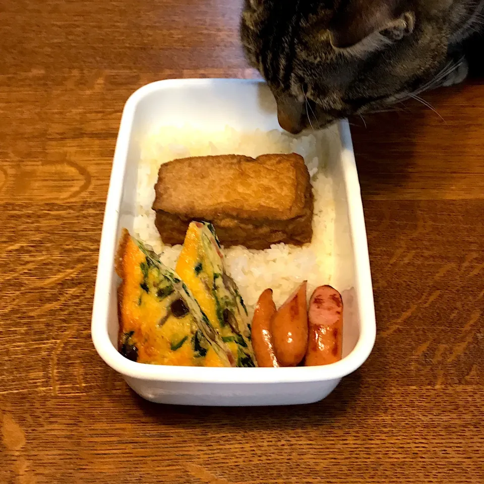 Snapdishの料理写真:予備校生弁当|tenoaさん