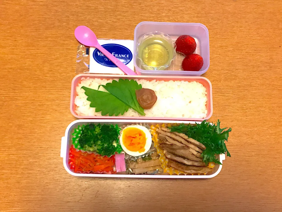 中学生お弁当|マイさん