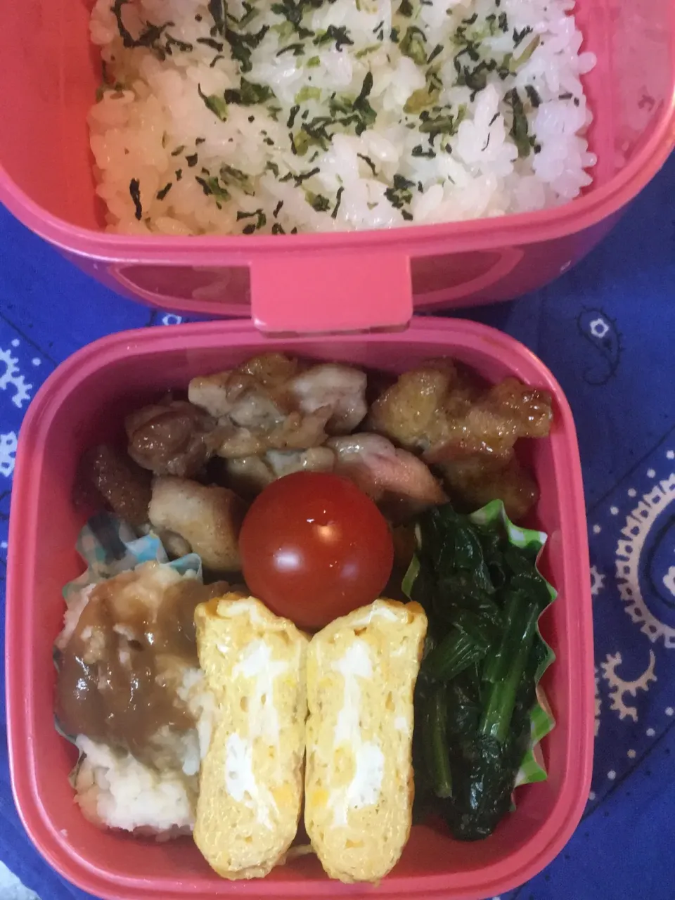 ♫11/19今日の娘のお弁当♫|Satokoさん