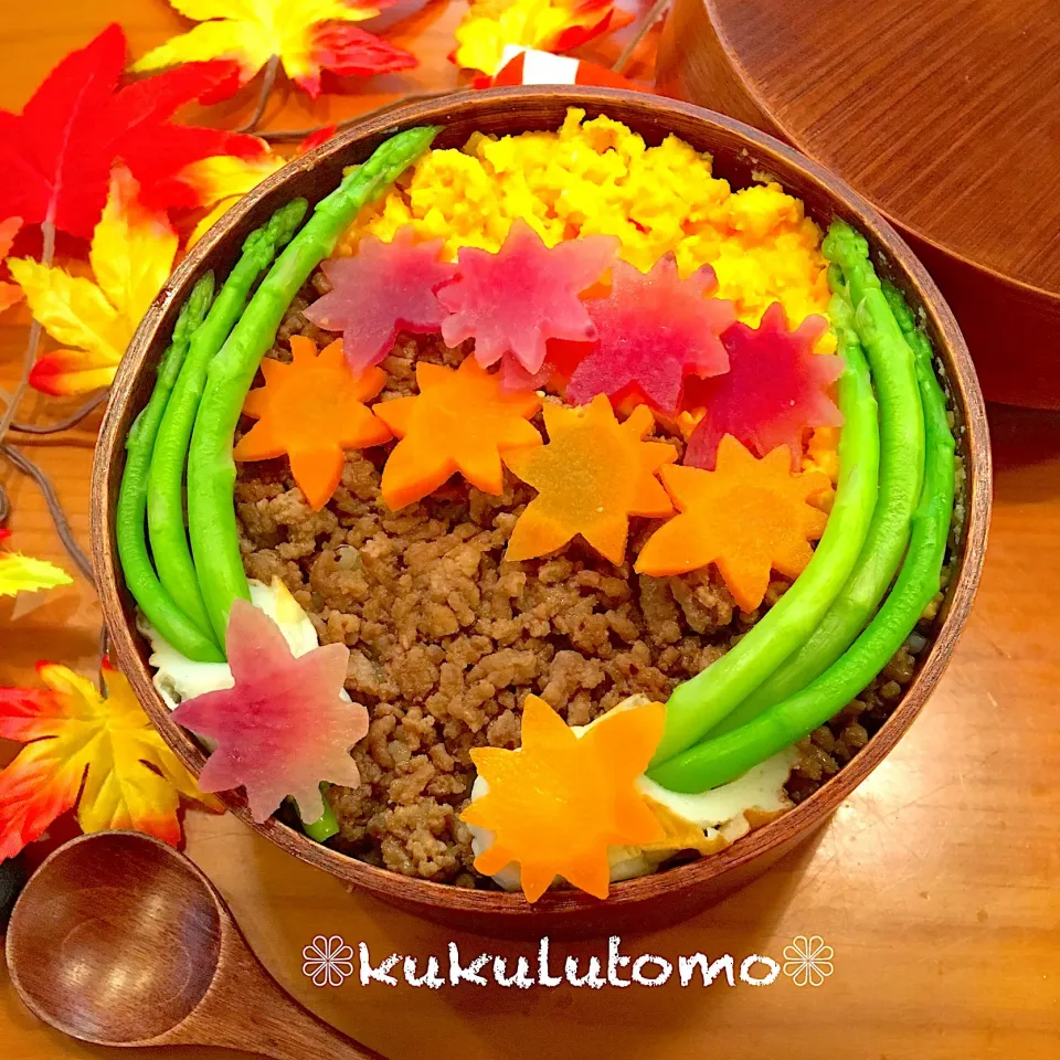 ❁秋のそぼろ丼弁当❁|kukulutomo ❁𓎪 ⡱𓎩‎𐩢𐩺𓎪 ⡱さん