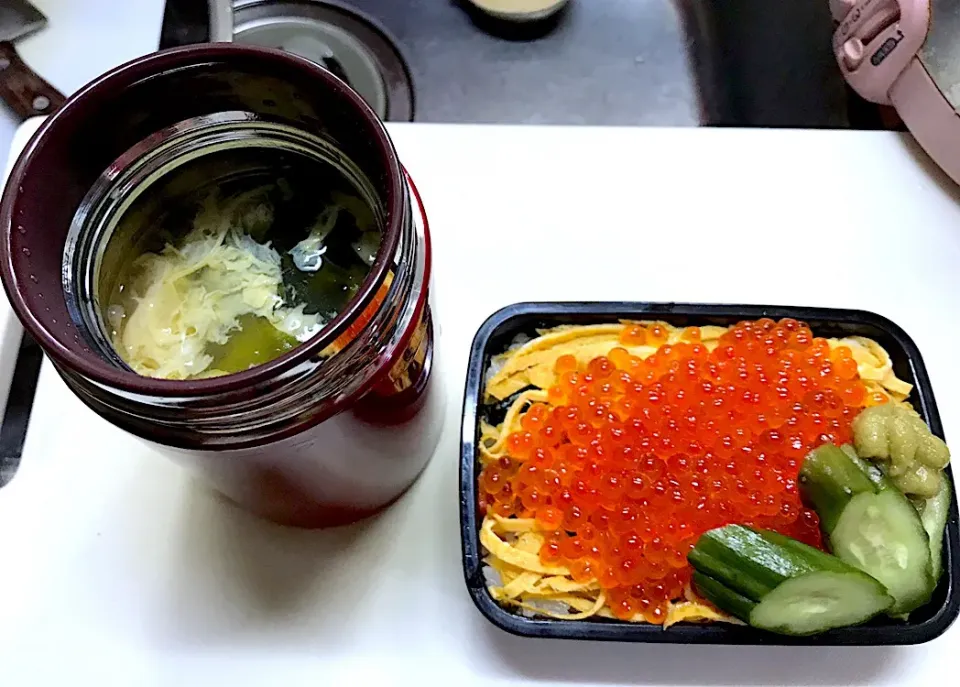 Snapdishの料理写真:いくら丼弁当☆|つばりん亭さん