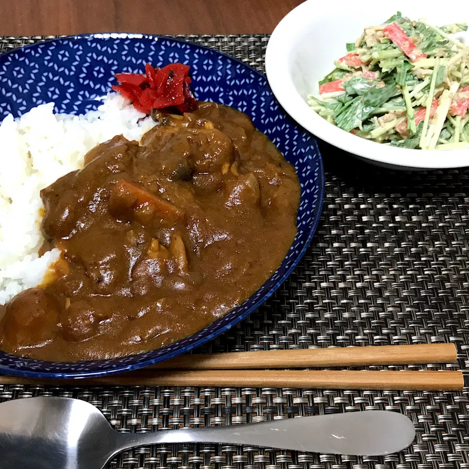 11/19 #晩ごはん  #単身赴任飯|Koichi GOGOさん