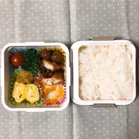 娘ちゃんお弁当|こすもすさん