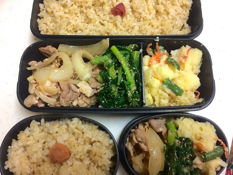 Snapdishの料理写真:#今日のお弁当|Victoryageさん