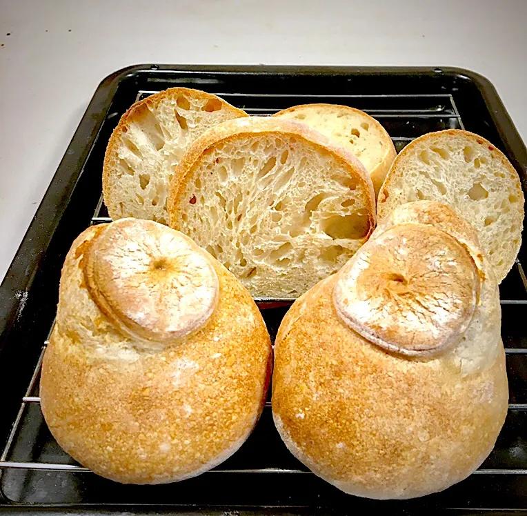 Badly Baked Sourdough Champignons|gonbenさん