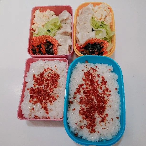 11/21(水)の二人弁当🍱|ふみぃさん