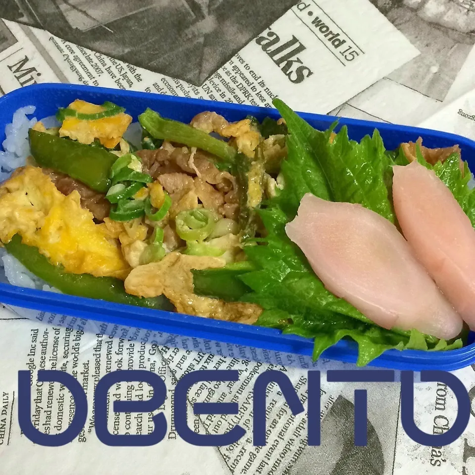 Snapdishの料理写真:f^_^;)  息子弁当（笑）|cafechanさん