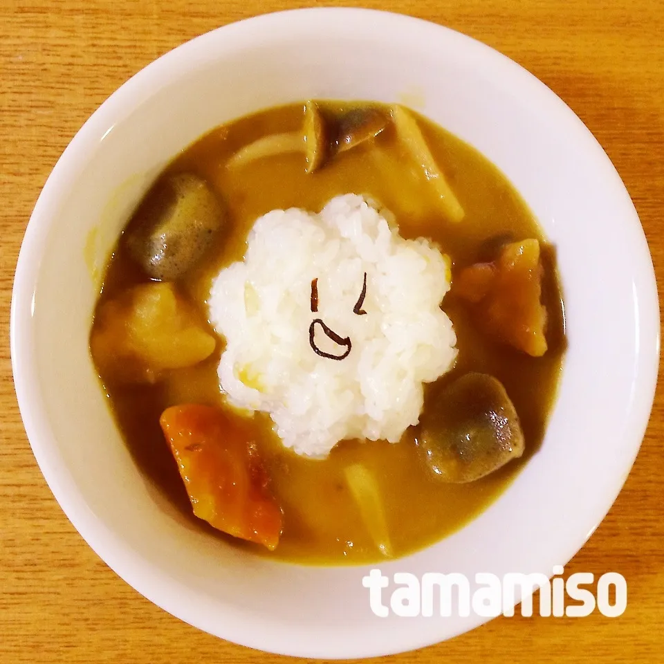 ニコニコカレー|tamamisoさん