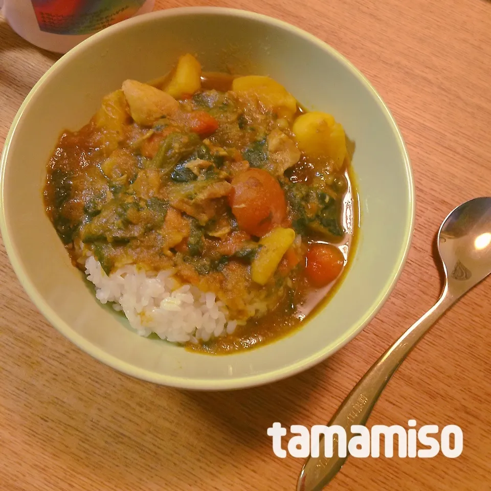 ほうれん草たっぷりカレー|tamamisoさん