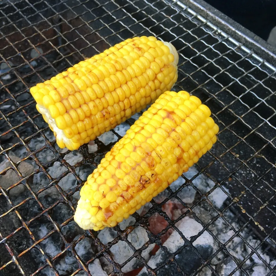 焼きとうもろこし|とももさん