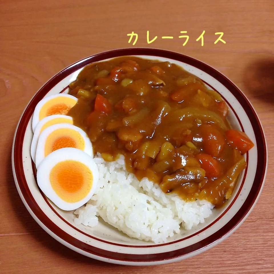 カレーライス|とももさん