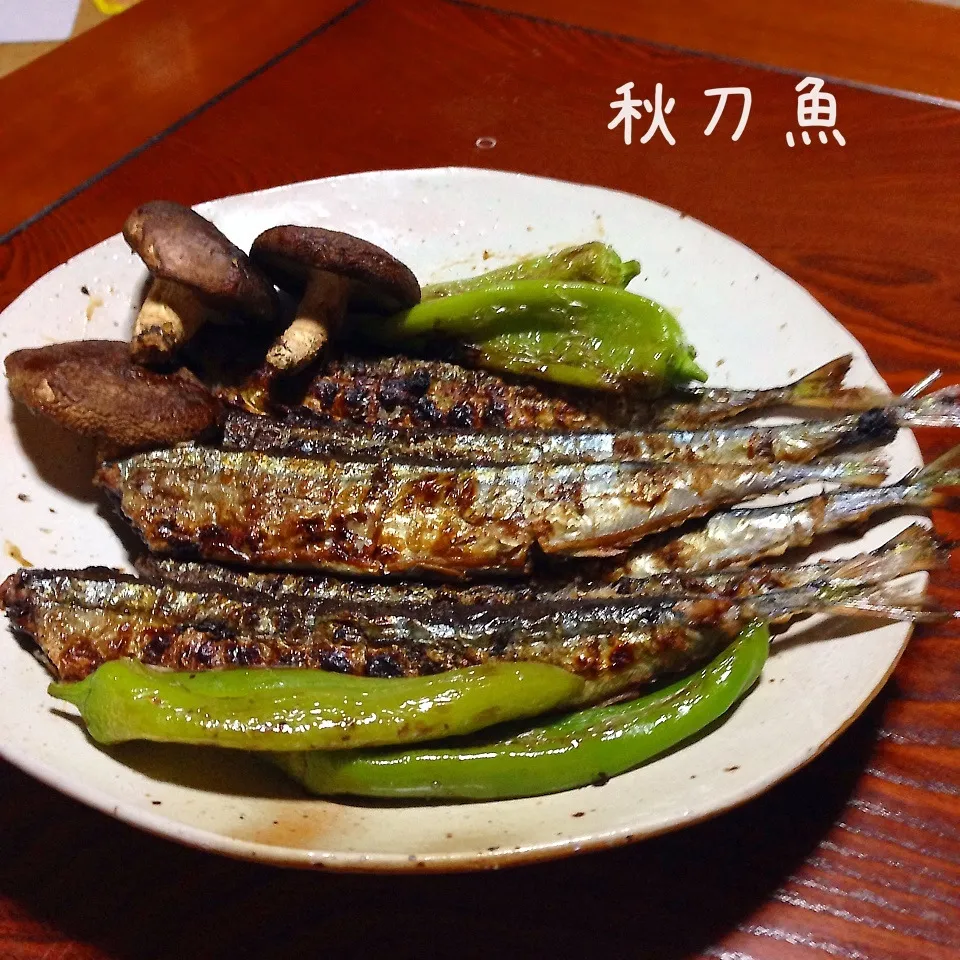 Snapdishの料理写真:炭火焼き|とももさん