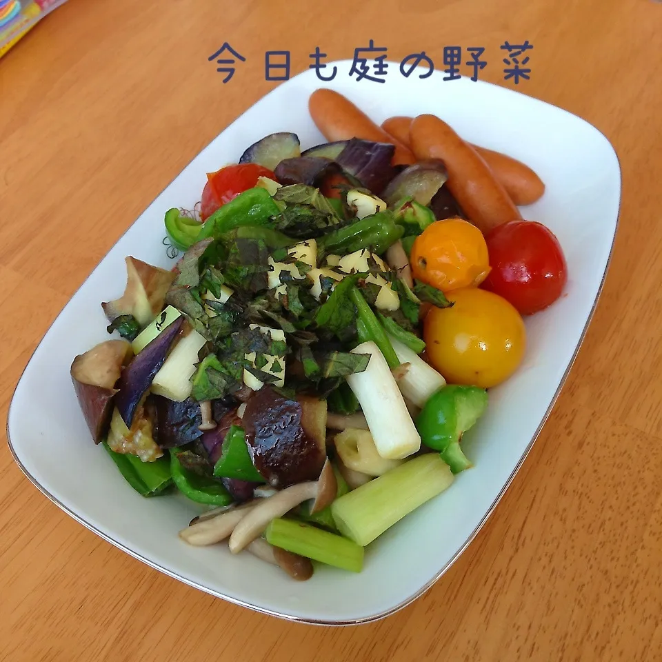 Snapdishの料理写真:庭の野菜を塩こうじで|とももさん