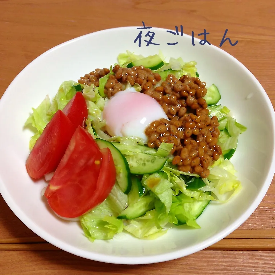 サラダうどん|とももさん