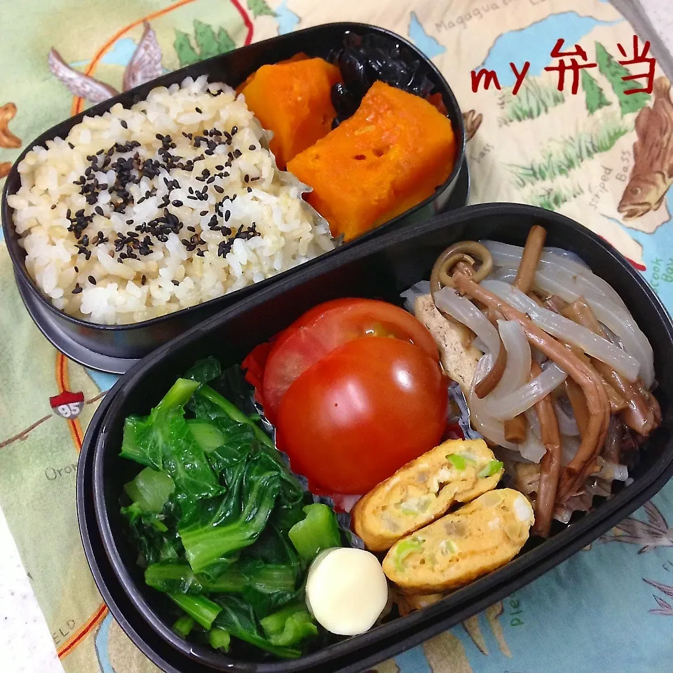 今日のお弁当|とももさん