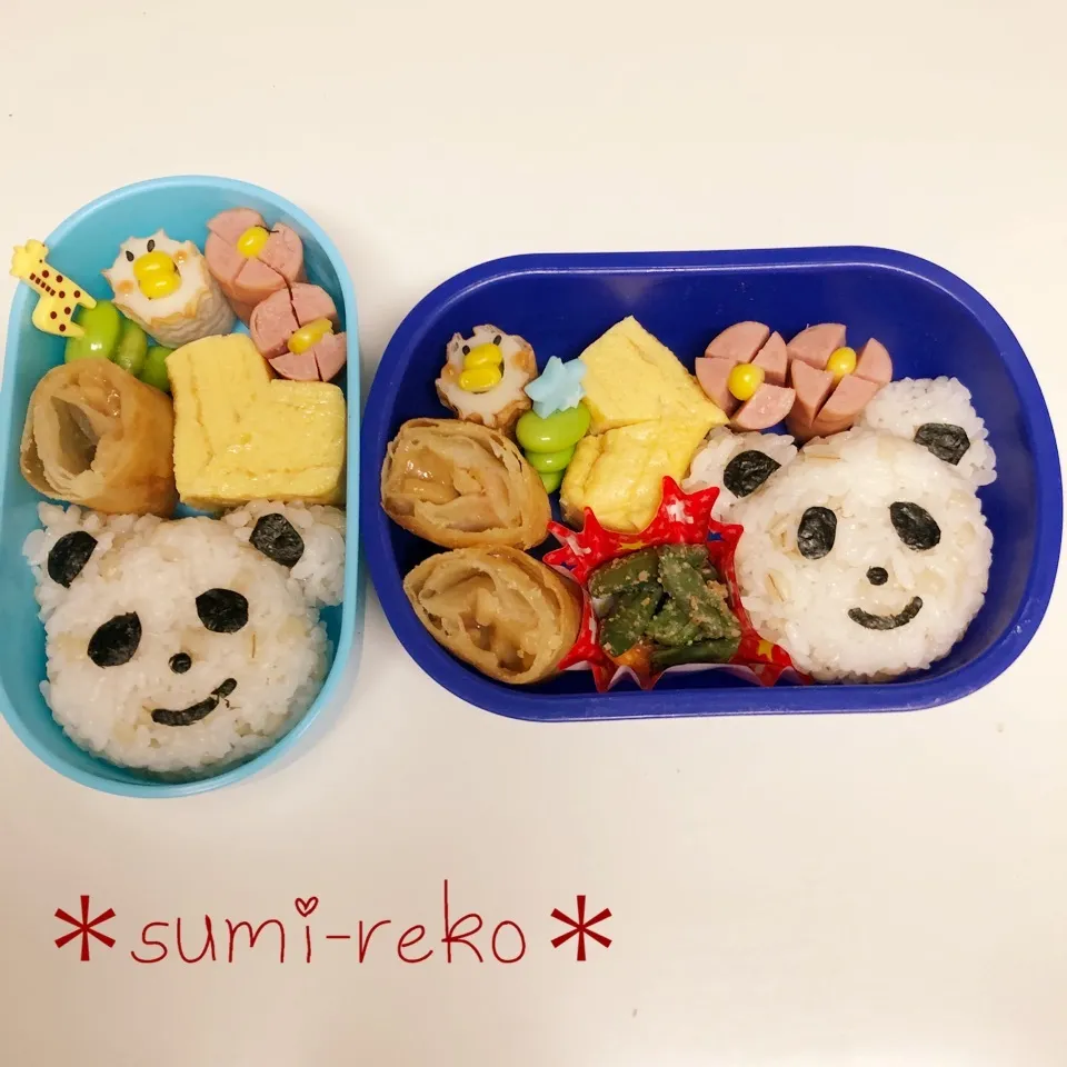 Snapdishの料理写真:幼稚園2歳クラス&長女ついで弁当|sumire-koさん