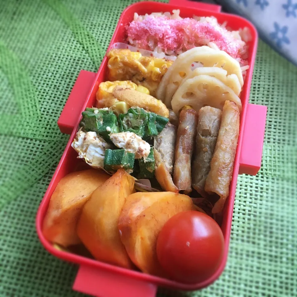 女子大生♡お弁当|あこみさん