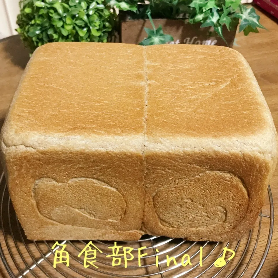 【角食部Final】ふすま入りの食パン🍞|あやちゃんママさん