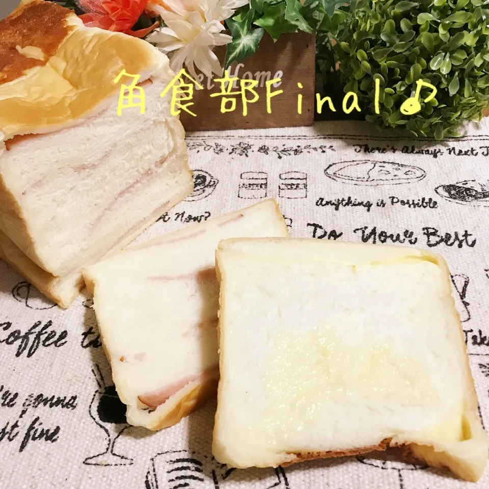 【角食部Final】ハム＆チーズの2種パン🍞|あやちゃんママさん