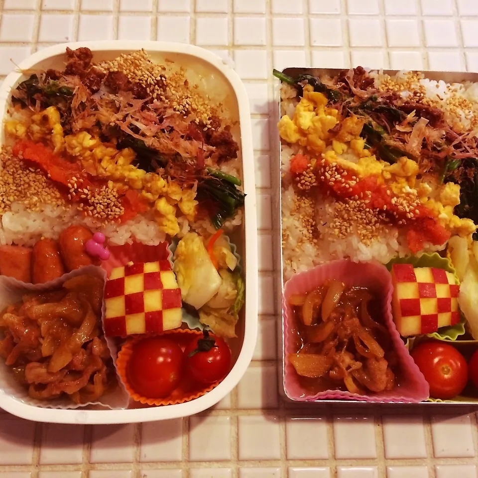 今日のお弁当☆|marikoさん