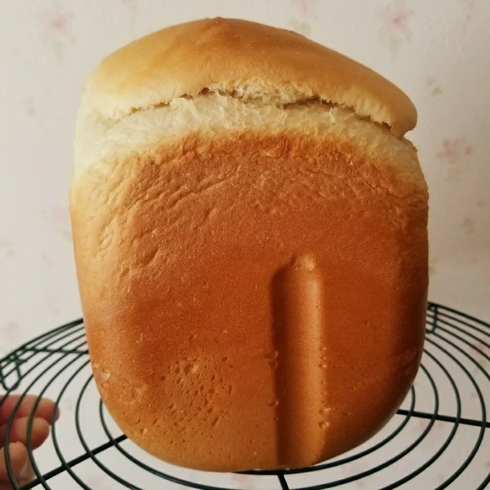 塩麹食パン🍞|まんまるこさん