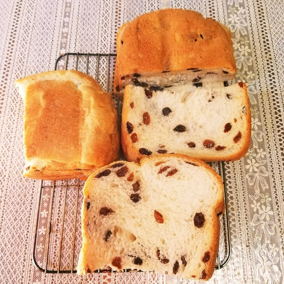 早焼きでレーズン食パン🍞|まんまるこさん